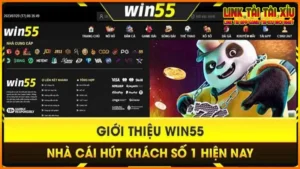 win55-4